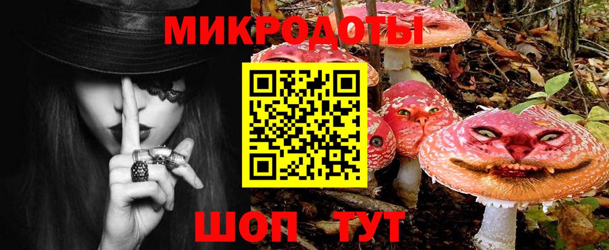 Псилоцибиновые грибы ЛСД Александров