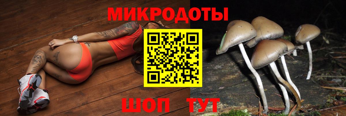 Галлюциногенные грибы Cubensis  Вход с VPN  Александров 